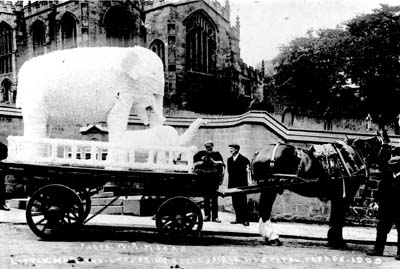 Ecclesfield Hospital Parade - Elephant