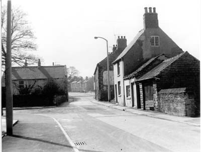 Yew Lane  C. Slinn